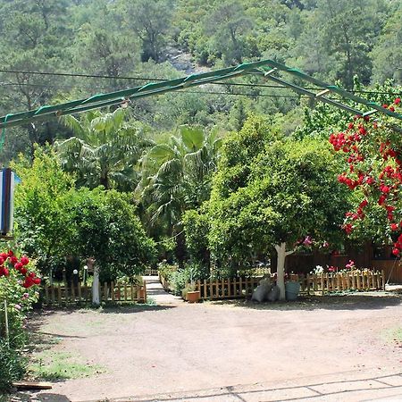 Oran Pansiyon Agac Evler Cirali Exterior foto