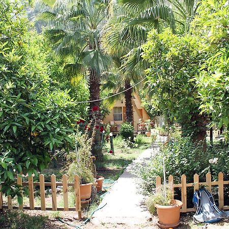 Oran Pansiyon Agac Evler Cirali Exterior foto