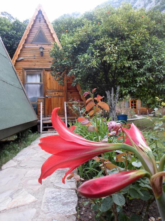 Oran Pansiyon Agac Evler Cirali Exterior foto