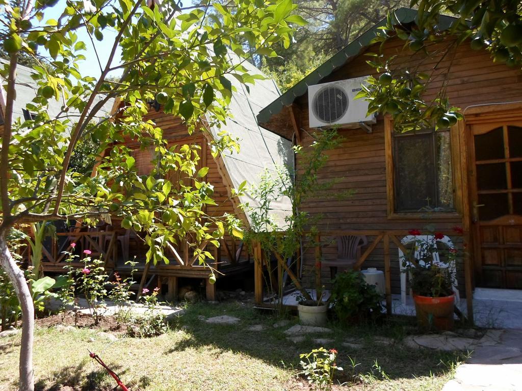 Oran Pansiyon Agac Evler Cirali Exterior foto