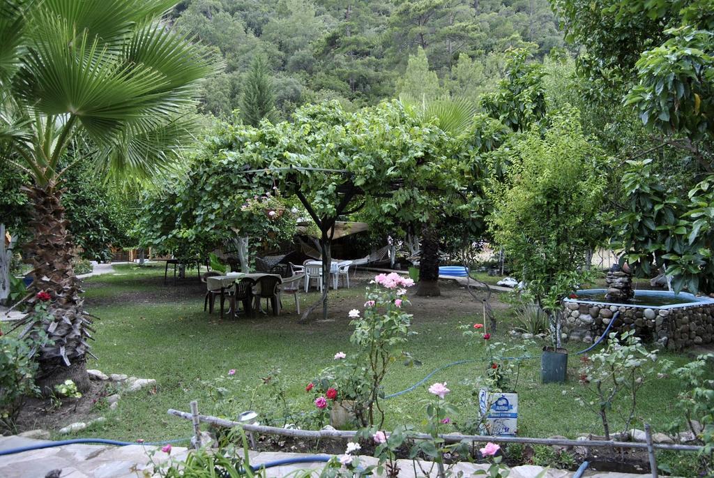 Oran Pansiyon Agac Evler Cirali Exterior foto