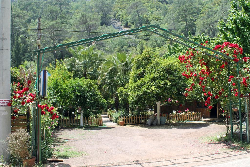 Oran Pansiyon Agac Evler Cirali Exterior foto